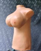 J-cup Breast Torso